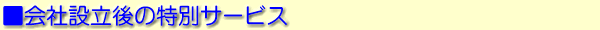 АݗsT[rXp̓ʃT[rX